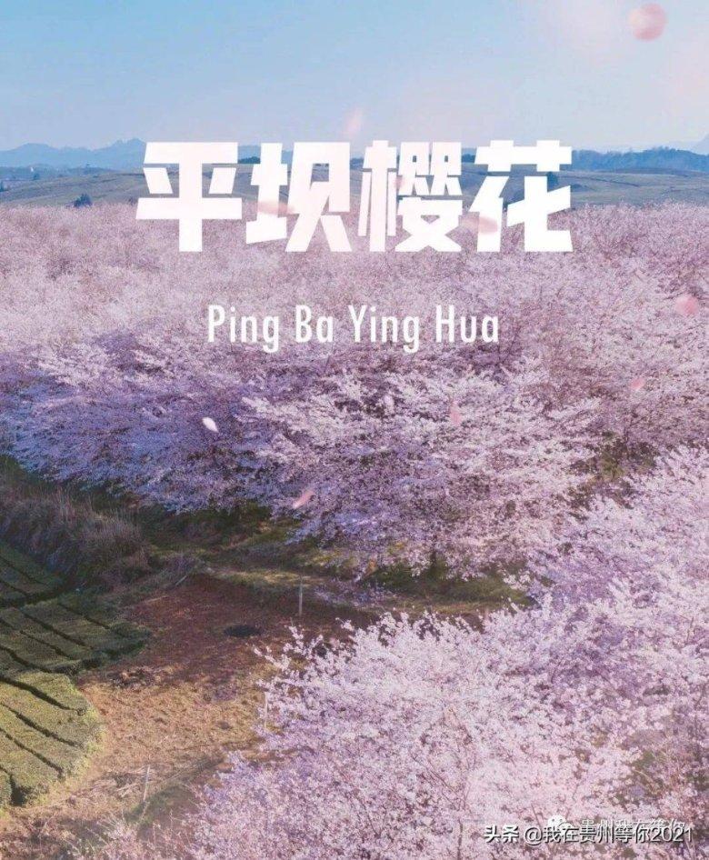 逃离残破的船只